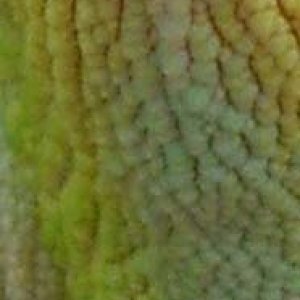 Texture