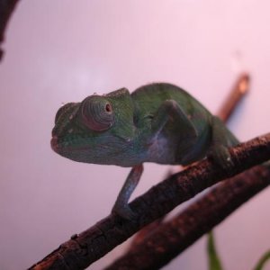 DSC04052