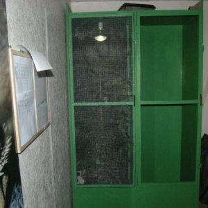 Picture 250