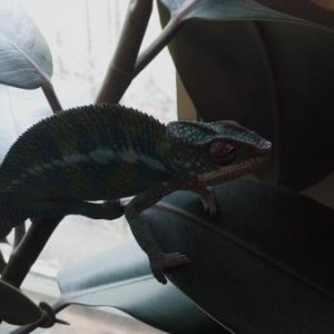 Just hanging out