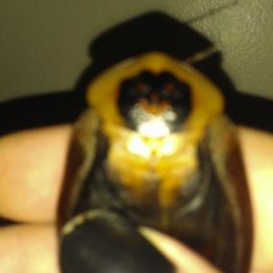 IMAG0133
