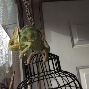 Arrr...I am trying to turn around!!!