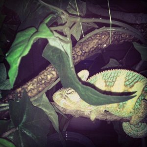 Slowy sleeping mode...