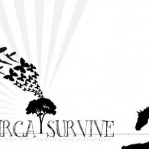 Circa Survive