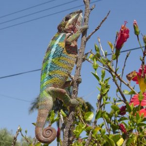 On a Branch!
6/7/2011