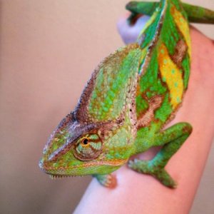 So handsome.