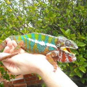 Calming down
3/9/2013