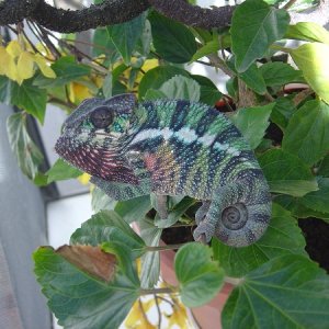 Before the color really set in
Feb 2011