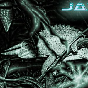 jax2
