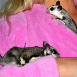 Sophie & Snookie meeting for the first time!