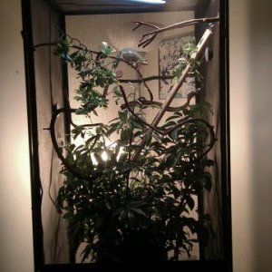 IMAG2290 1