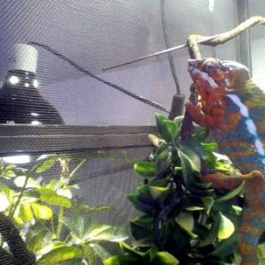 in the hot spot