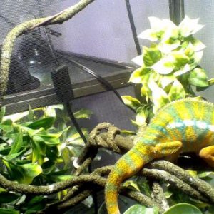 picture024