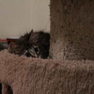 If I can't see you, then you can't see me. I am hidden.
