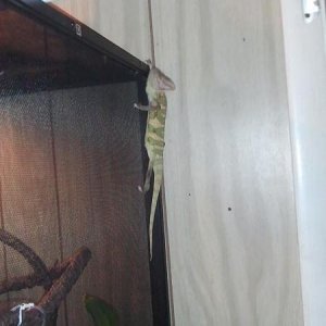 just crawling around.