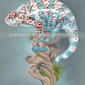 Nosy Faly Digital Painting