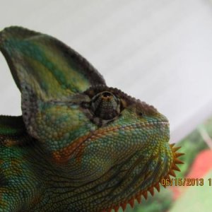 Time for my close-up!