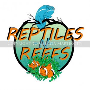 Logo for Reptiles N Reefs in Las Vegas, Nevada.