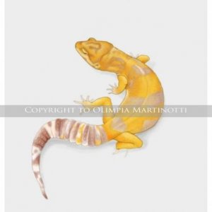 Leopard gecko digital drawing