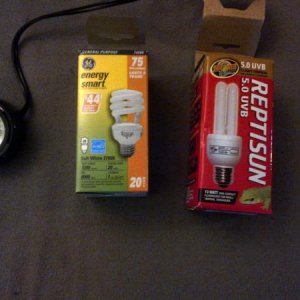 lighting puck, repti sun and CFL  (CFL and reptisun are in mini deep dome!)