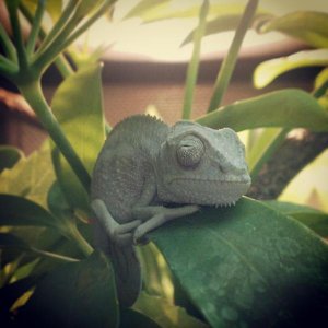 Sleepy time. :)