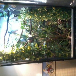 His cage
