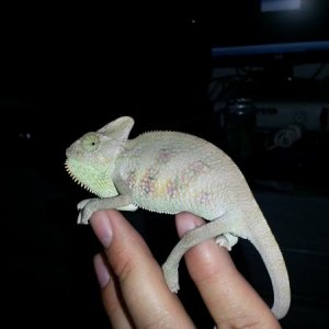 @4 months