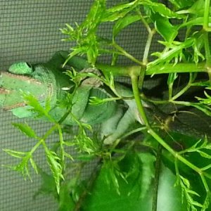 20130424 160701