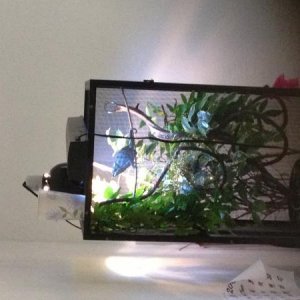 Oliver's shed #6 (in my care)
