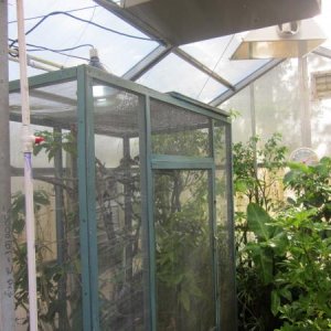 Greenhouse(2)