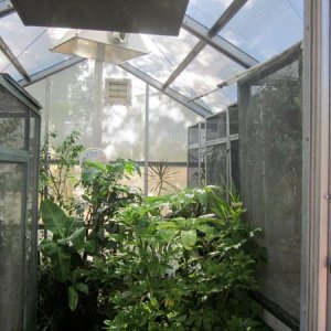 Greenhouse(3)
