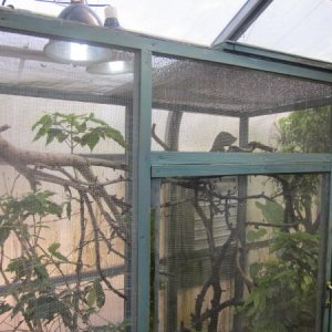 Greenhouse(6)