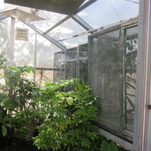 Greenhouse(7)