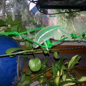 20130817 163443
