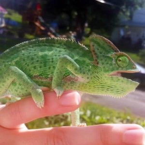 Catchin' some rays.