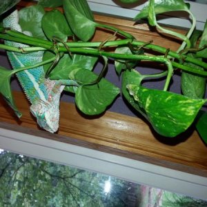 20130817 120057