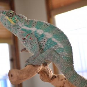 DSC 2774