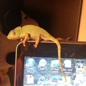 hanging out helping with homework.