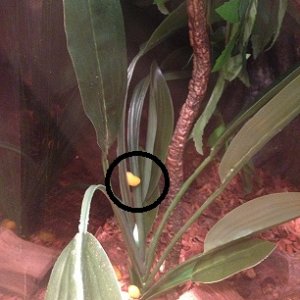 on day two - passing slugs