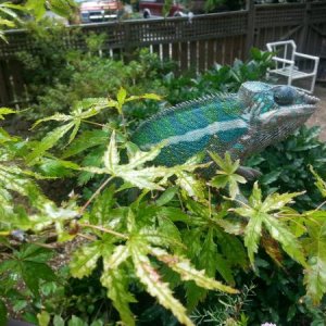 20130908 132641