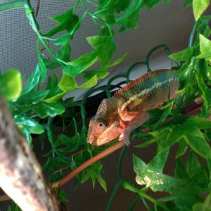 5 Months Old