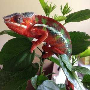 6 Months Old