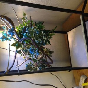 Updating Oliver's cage- fake vine