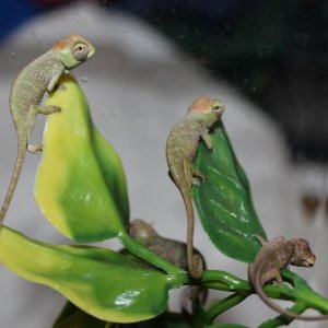 i promise we be good!!!!