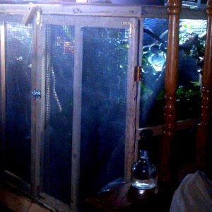 I designed this bank of cages and then had them built..I am very please with them..instead of 5 different cages set up, I have one bank of 4 cages, 48
