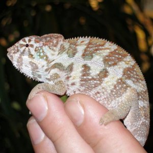 P1010501