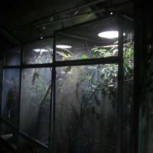 NightGreenhouseZooMed2