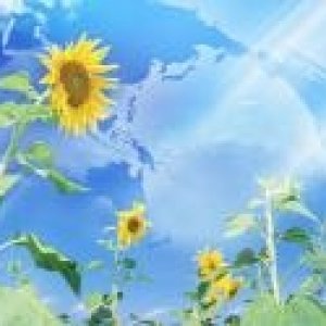 شركة تنظيف فلل بجدة, شركة تنظيف بجدة ,شركة تنظيف خزانات بجدة, شركة مكافحة حشرات بجدة ,شركة جلي بلاط شركة تخزين اثاث بالرياض, شركة مكافحة نمل ابيض بالر