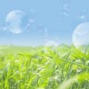 شركة تنظيف فلل بجدة, شركة تنظيف بجدة ,شركة تنظيف خزانات بجدة, شركة مكافحة حشرات بجدة ,شركة جلي بلاط شركة تخزين اثاث بالرياض, شركة مكافحة نمل ابيض بالر