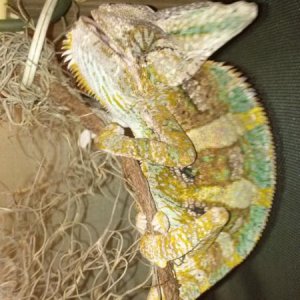 0930132039b